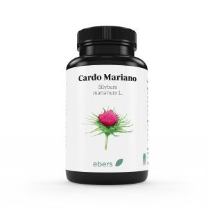 CARDO MARIANO 60 COMP
