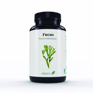 FUCUS 500 MG 100 COMP