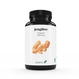 JENJIBRE 500 MG 50 COMP