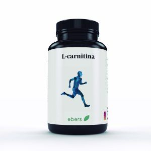 L-CARNITINA 500 MG 60 CÁPS