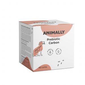 Prebiotic Carbon