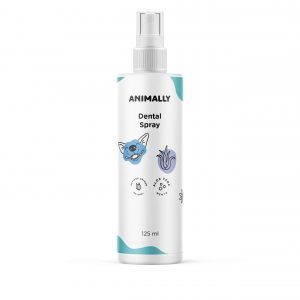 Dental Spray Fresh